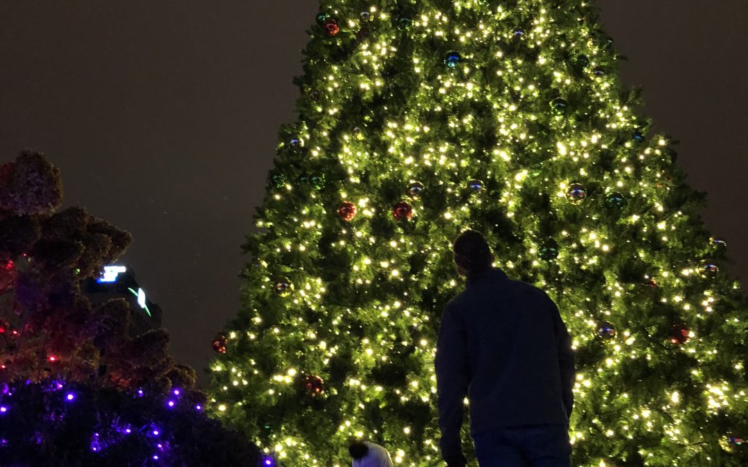 13 Ways to Make This Holiday Season in Columbus a Little Brighter