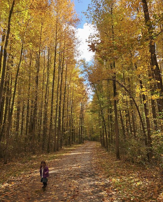 30 Fun Ideas for Fall in Columbus