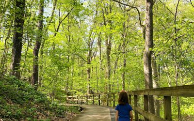15 Ways to Explore Columbus from a Social Distance