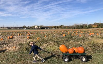 Fall in Columbus – 15 Tried and True Things to Do