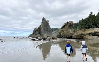 Road Trip Itinerary: 4 Days in Olympic National Park