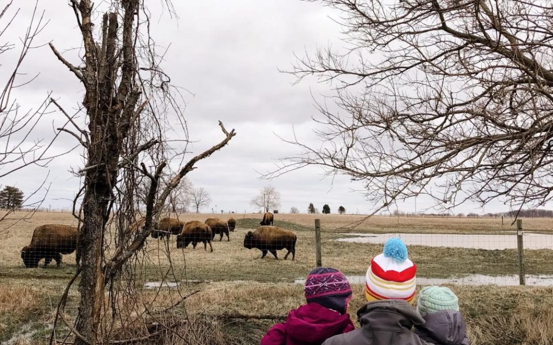 80+ Ways to Embrace Winter in Columbus