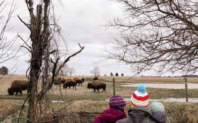 80+ Ways to Embrace Winter in Columbus