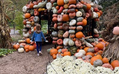 42 Things To Do This Fall in Columbus