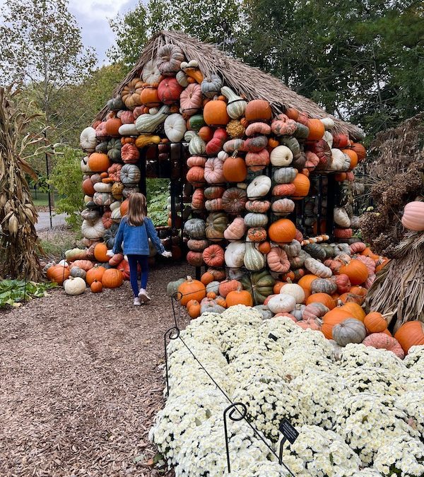 42 Things To Do This Fall in Columbus
