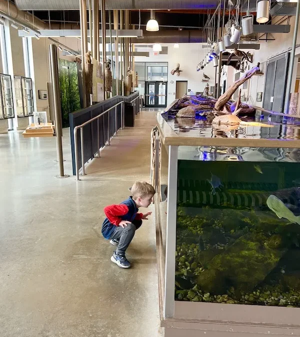 45 Budget Friendly Things to do This Spring Break in Columbus