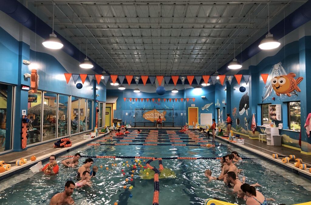 Summer at Goldfish Swim School