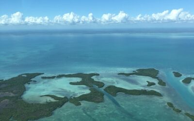 Experience the Wonder of Belize with Kids