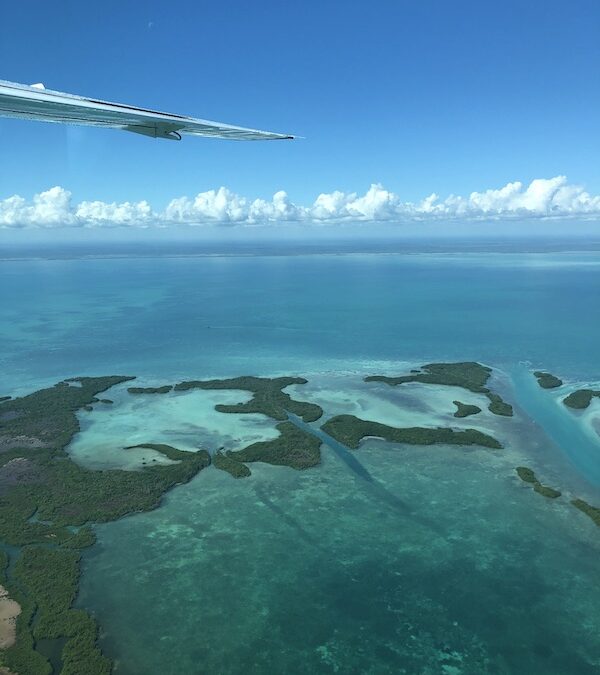 Experience the Wonder of Belize with Kids