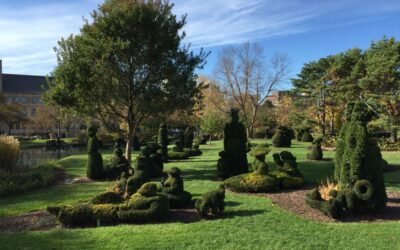 Discover Columbus Scavenger Hunt