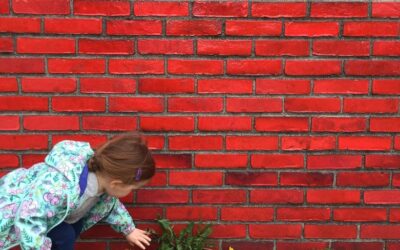 4 Tips For Helping City Kids Connect to Nature