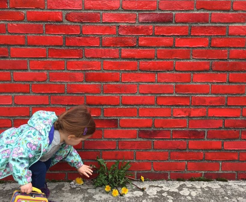 4 Tips For Helping City Kids Connect to Nature