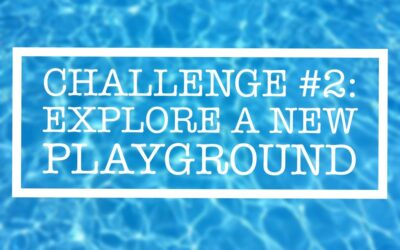 Summer Challenge #2: Explore a New Playground