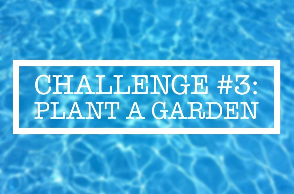 Summer Challenge #3: Plant a Garden