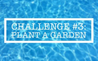 Summer Challenge #3: Plant a Garden