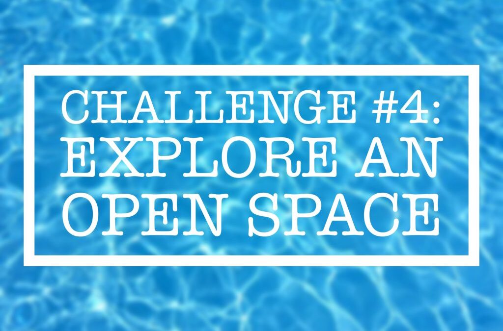 Summer Challenge #4: Explore an Open Space