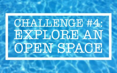 Summer Challenge #4: Explore an Open Space