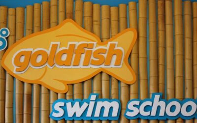 Back in the Water at Goldfish Swim School