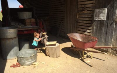 A Visit to Slate Run Living Historical Farm