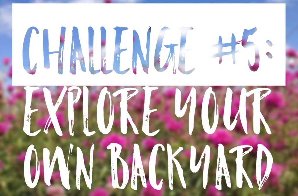 Summer Challenge #5: Explore your own backyard