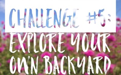 Summer Challenge #5: Explore your own backyard