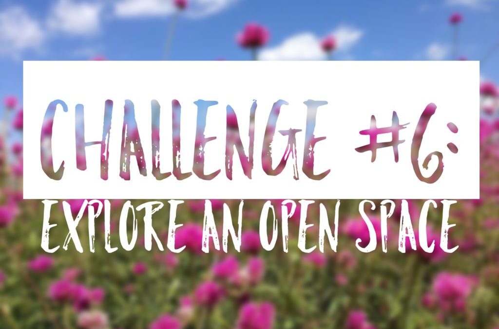 Summer Challenge #6: Explore an Open Space