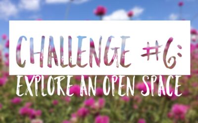Summer Challenge #6: Explore an Open Space