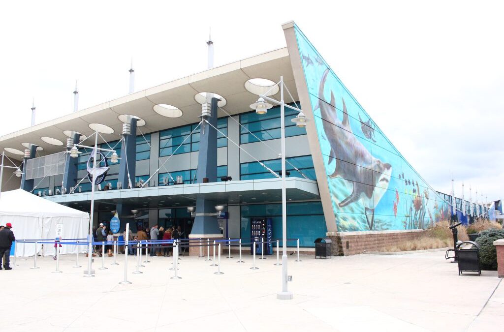 A trip to The Newport Aquarium with the Young and the Old(er)