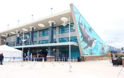 A trip to The Newport Aquarium with the Young and the Old(er)