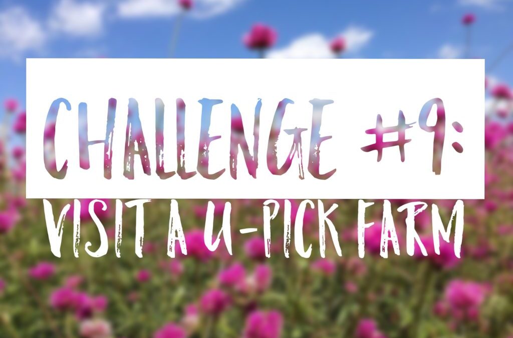 Summer Challenge #9: Visit a U-Pick Farm