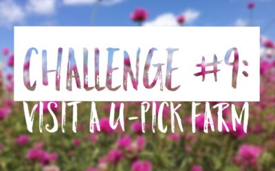 Summer Challenge #9: Visit a U-Pick Farm