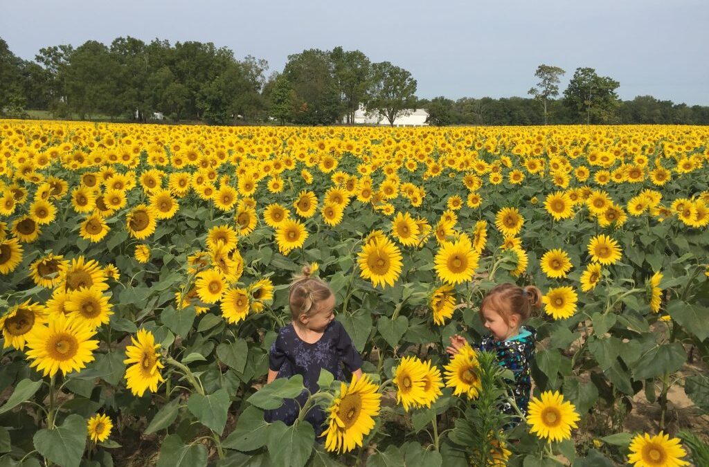 11 Can’t Miss Activities This Fall in Central Ohio
