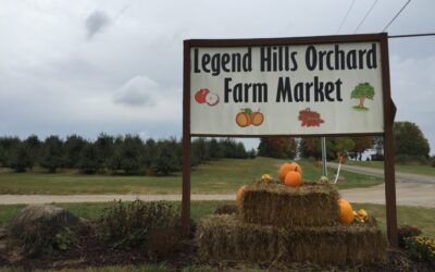 Apple Picking at Legend Hills Orchard