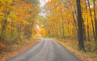 9 Instagram Worthy Spots for Fall Foliage in Central Ohio