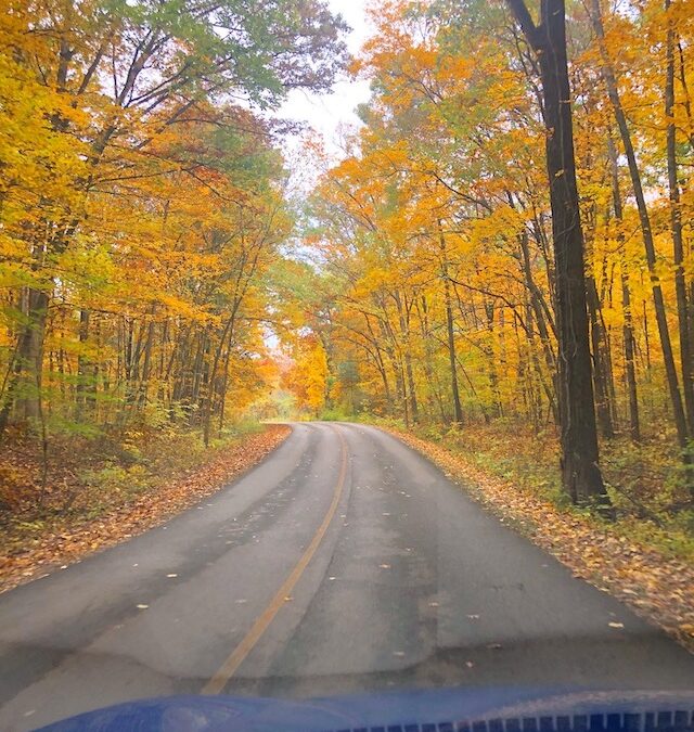 9 Instagram Worthy Spots for Fall Foliage in Central Ohio